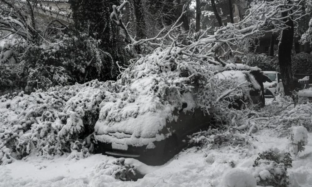 Δείτε πως θα αποζημιωθείτε εάν πάθατε ζημιά στο όχημα σας από πτώση δέντρων
